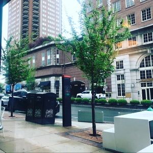 Meet your Posher, Cristina